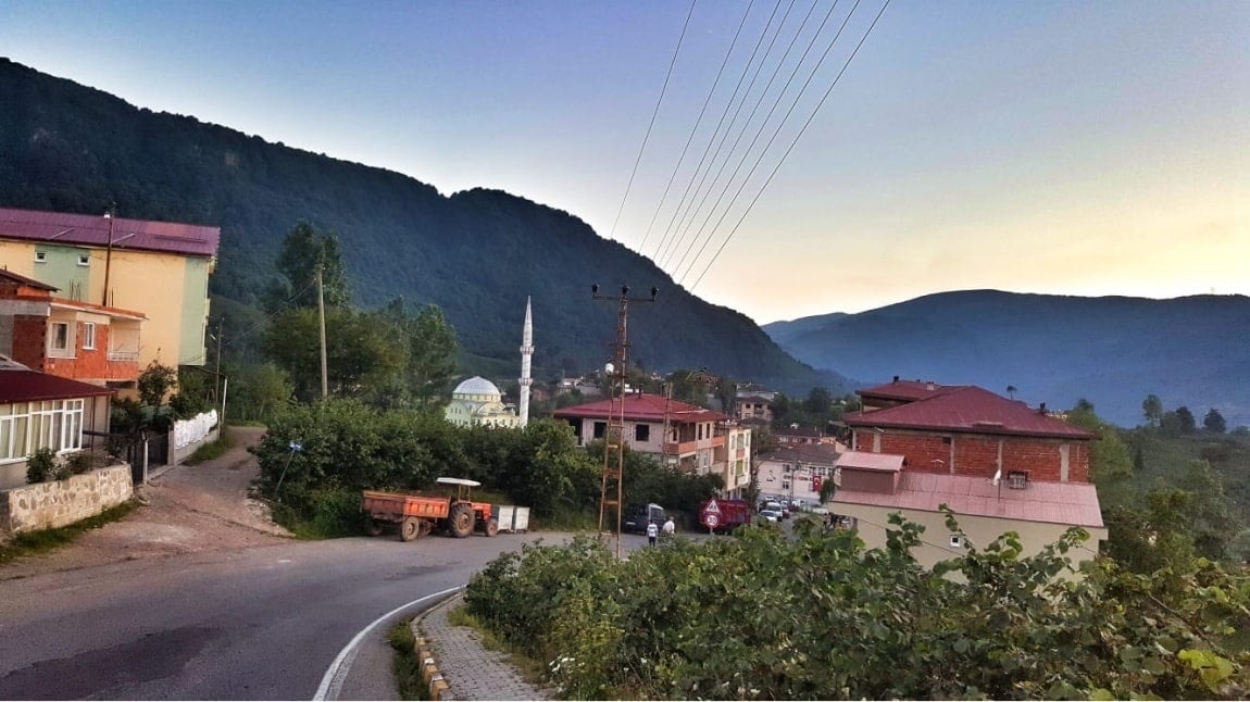 Tarihçe